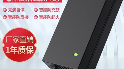 48V 급속충전기 할인! 후기 보니 득템각?!